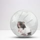 thumbnail image 5 of Mini pelota de plástico para trotar mouse de mascota hámster para Ehuebsd hacer ejercicio Bola de trote transparente accesorio para jugar, 5 of 9