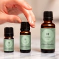 thumbnail image 2 of Edens Garden Fir Around The World Essential Oil- 100% Pure Premium Grade, Undiluted, Natural, Therapeutic, Aromatherapy, The Best for Diffuser, Skin, Candle, Laundry 10 ml (.33 fl oz), 2 of 9