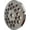 8/25 Hole Plate, variant on For Hobart, LEM, Cabelas, Weston and FGA , MTN Meat Grinders of #12 Stainless Steel Meat Plate Discs , Disks Heavy Duty. (6/25 Hole Plate)