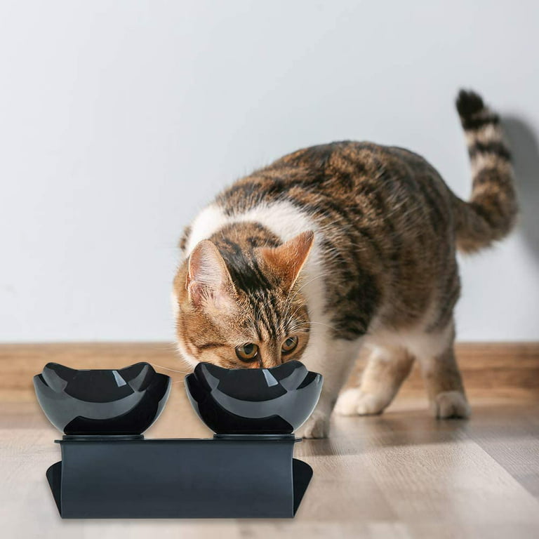 Pantula Anti Vomiting Cat Bowls, Elevated Plastic Cat Food Bowl, Tilted 15° Raised Cat Dishes with Non-Slip Rubber Base Stand for Cats (Black)