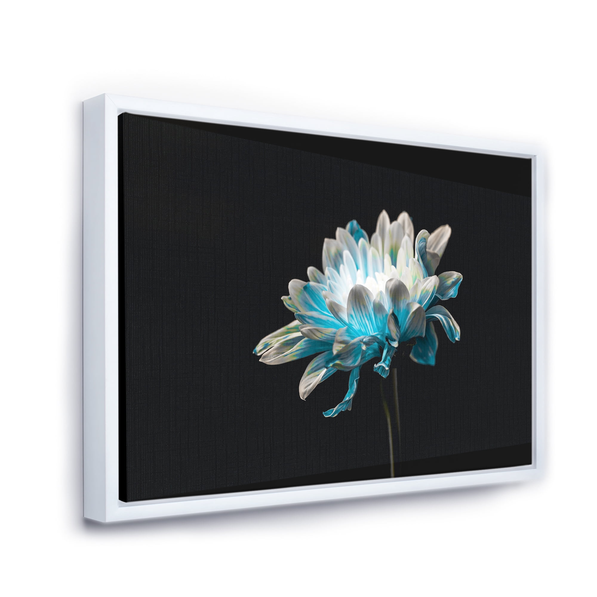 Designart 'Close Up Of White and Pure Blue Daisy Flower I' Traditional Framed Canvas Wall Art Print
