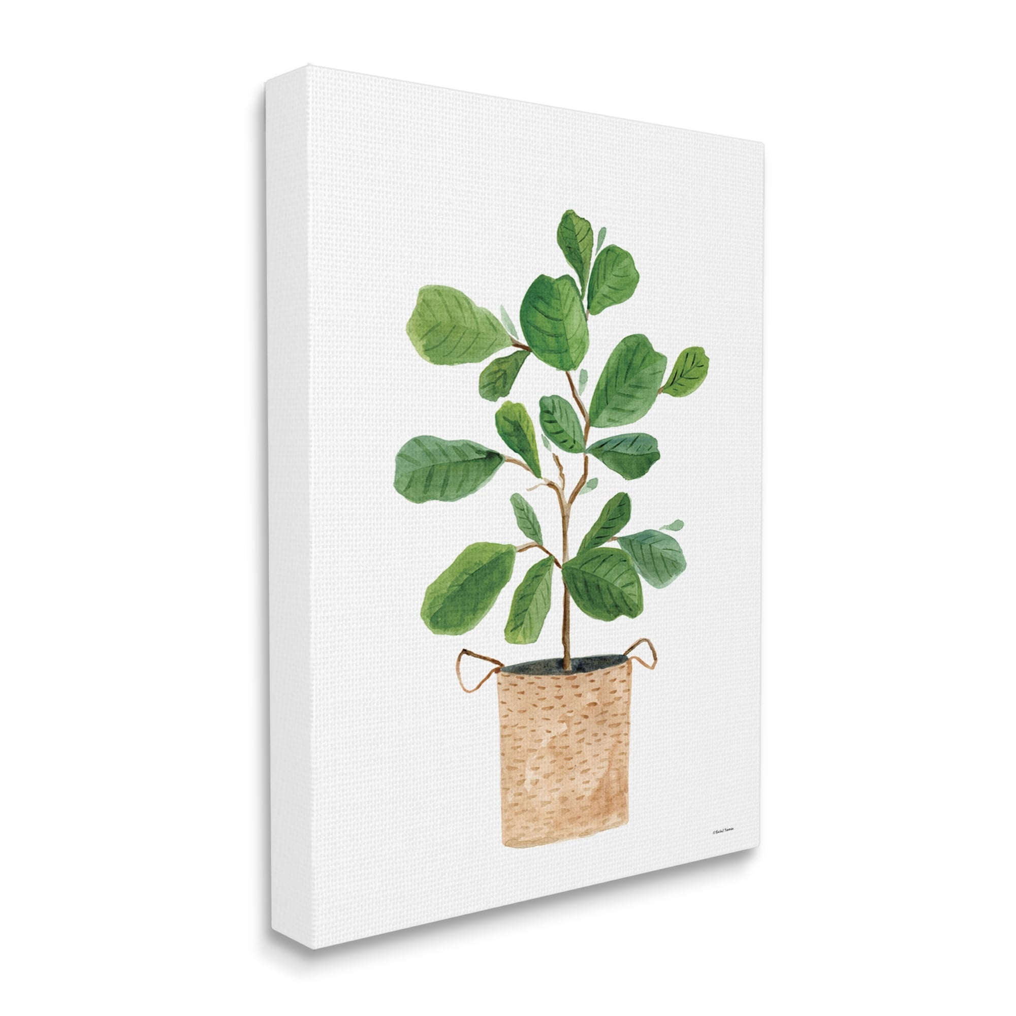 Stupell Casual House Plant Botanicals Botanical & Floral Painting Gallery Wrapped Canvas Print Wall Art