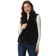 thumbnail image 1 of Chaleco Esponjoso para Mujer Abrigo de Piel Sintética sin Mangas con Cuello Alto Negro L, 1 of 6