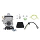 thumbnail image 1 of Kit de repuesto de carburador para soplador y cortacésped WYK 74 WYK 74 1, 1 of 10
