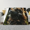 thumbnail image 1 of Fotbe Realistic Style Cute Cat Manta de Franela con Estampado, Manta Ultrasuave para Cama, Sofá, Auto, Hipoalergénica y Antibolitas-60"x50", 1 of 6
