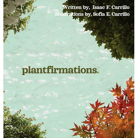 plantfirmations, (Hardcover)