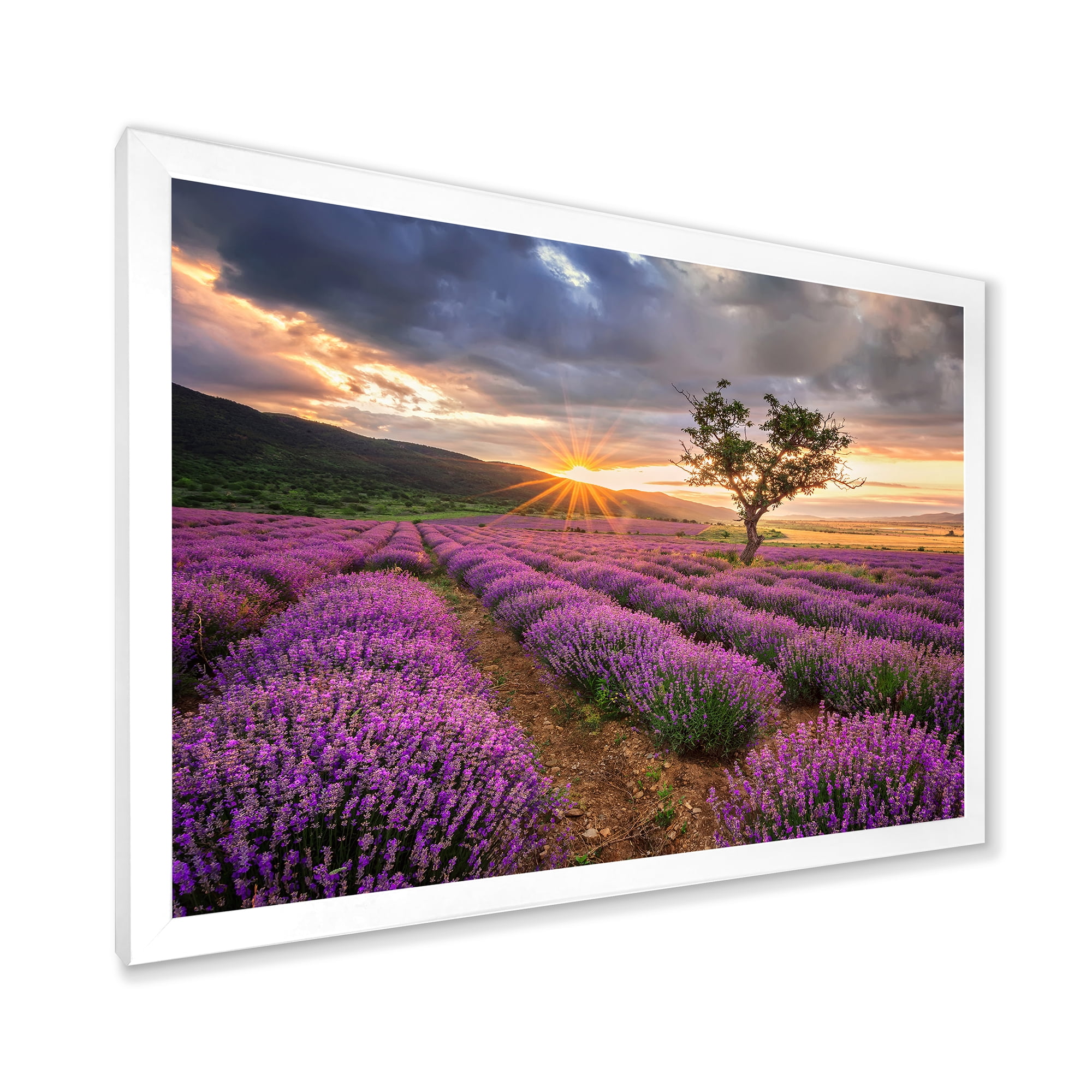 Designart 'Dramatic Clouds and Sunrise Over Lavender Field VIII' Farmhouse Framed Art Print