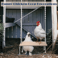 thumbnail image 3 of Chicken Swing Toy for Large Chicken Coop, Chicken Coop Accessories, 3 of 6