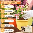 thumbnail image 6 of Legigo 4 Pack Premium Coco Coir Brick for Plants- 100% Organic Compressed Coconut Coir Bricks Starting Mix, Coco Coir Fiber Coconut Husk for Planting, Gardening, Potting Soil Substrate, Herbs, 6 of 7