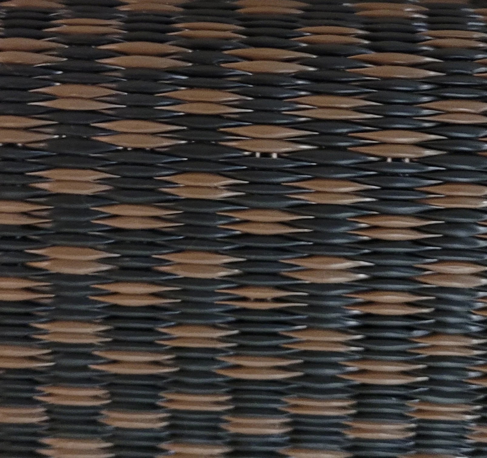 Basic Brown  Black