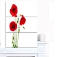 thumbnail image 1 of Fleurs de Coquelicot Rouge Isolées - Impression sur Toile Florale, 1 of 3