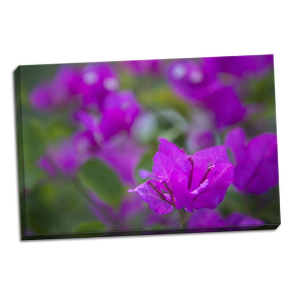 Gango Home Decor Contemporary Magenta Bloom by Karyn Millet (Ready to Hang); One 24x16in Hand-Stretched Canvas