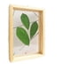 thumbnail image 3 of Marco de fotos de madera maciza, creativo, de doble cara, de vidrio, marco de muestra de planta, flores secas, marco de fotos tridimensional hecho a mano, logotipo impreso, 3 of 4