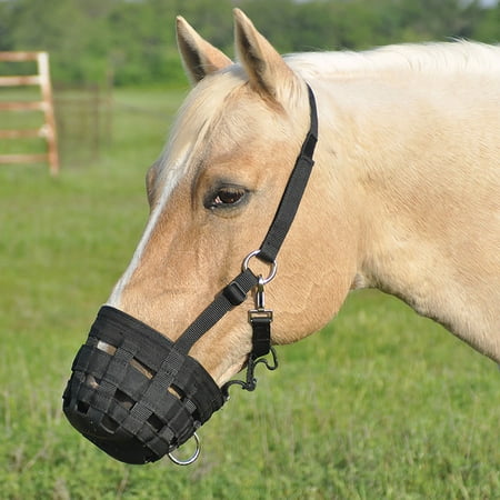 UPC: 0804381022596 | Cashel Company Grazing Muzzle Halter Black PONY
