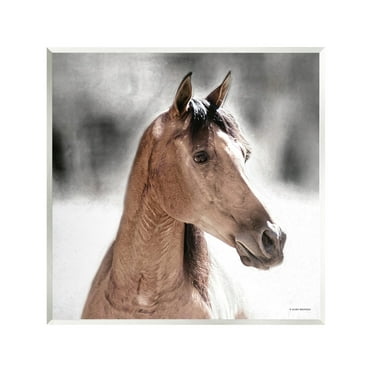 Stupell Industries Brown Foal in Snow Animals & Insects Photography Unframed Art Print Wall Art, 12 x 12