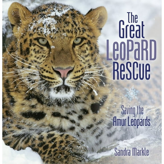 Sandra Markle's Science Discoveries The Great Leopard Rescue: Saving the Amur Leopards, (Paperback)