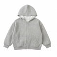 thumbnail image 3 of WERYOUNG Boys Zip Up Hoodies Casual Long Sleeve Hooded Sweatshirt Soft Warm Outerwear Hoodies For Daily Wear Play Versatile Tops 6-12 Months, 3 of 3