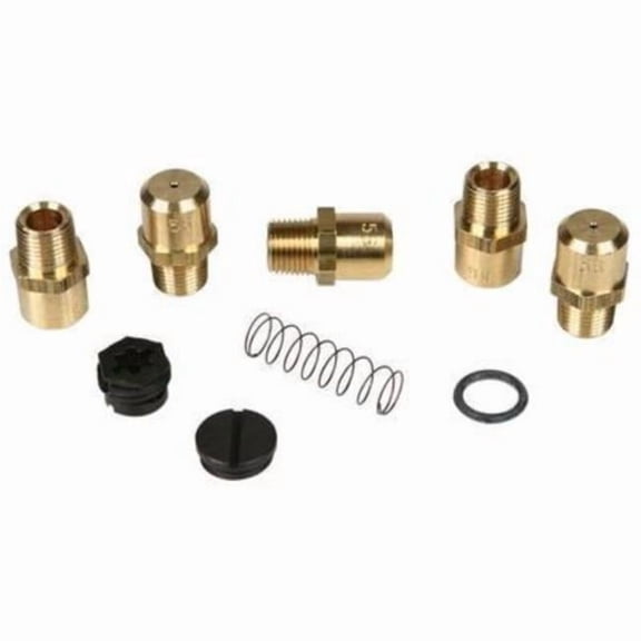 LP to NG Gas Conversion Kit
