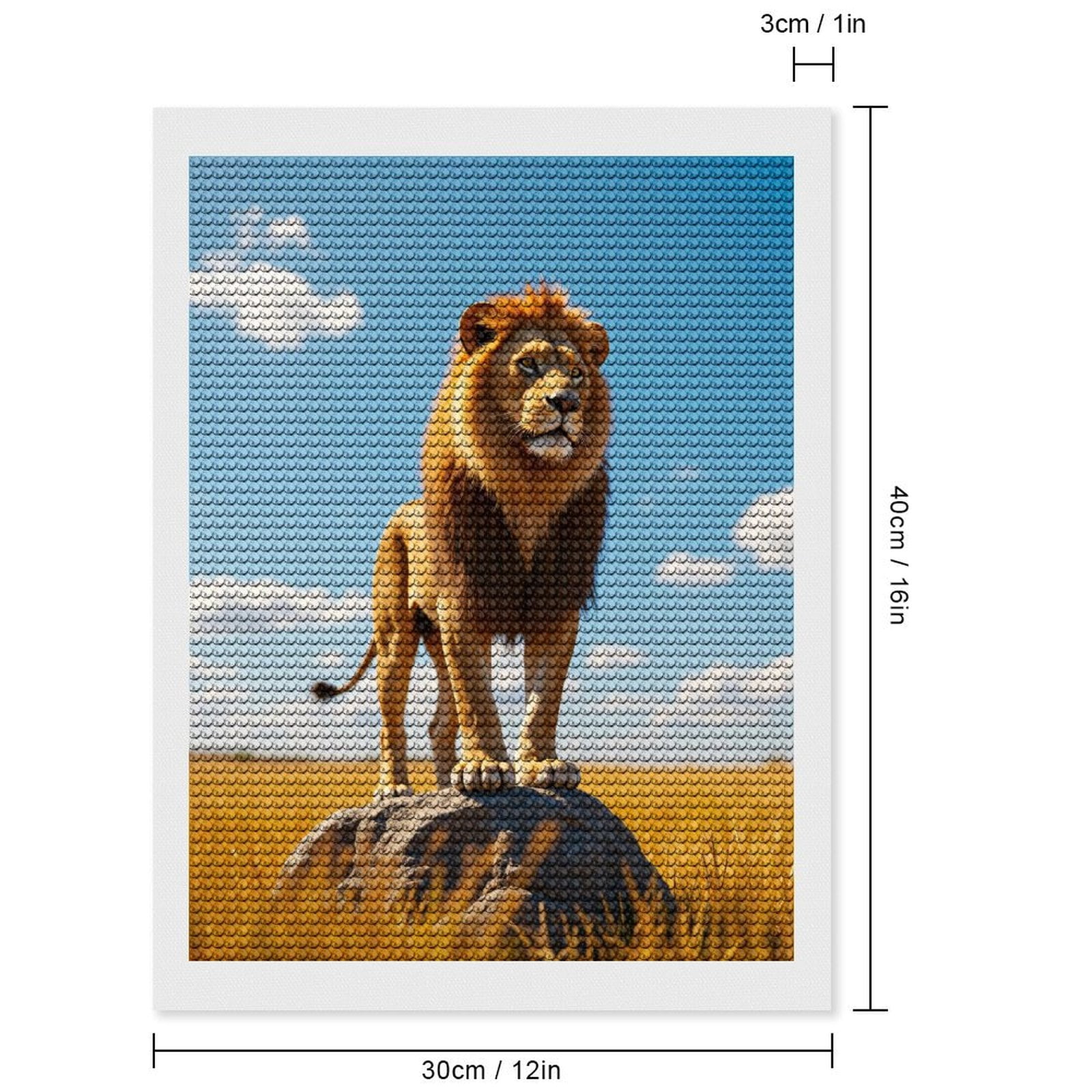 Diamond Art Kits for Adults, Majestic Lion On Rock 5D Diamond Painting Kits for Adults Beginners, DIY Full Drill Diamond Painting, Gem Art and Crafts 12x16