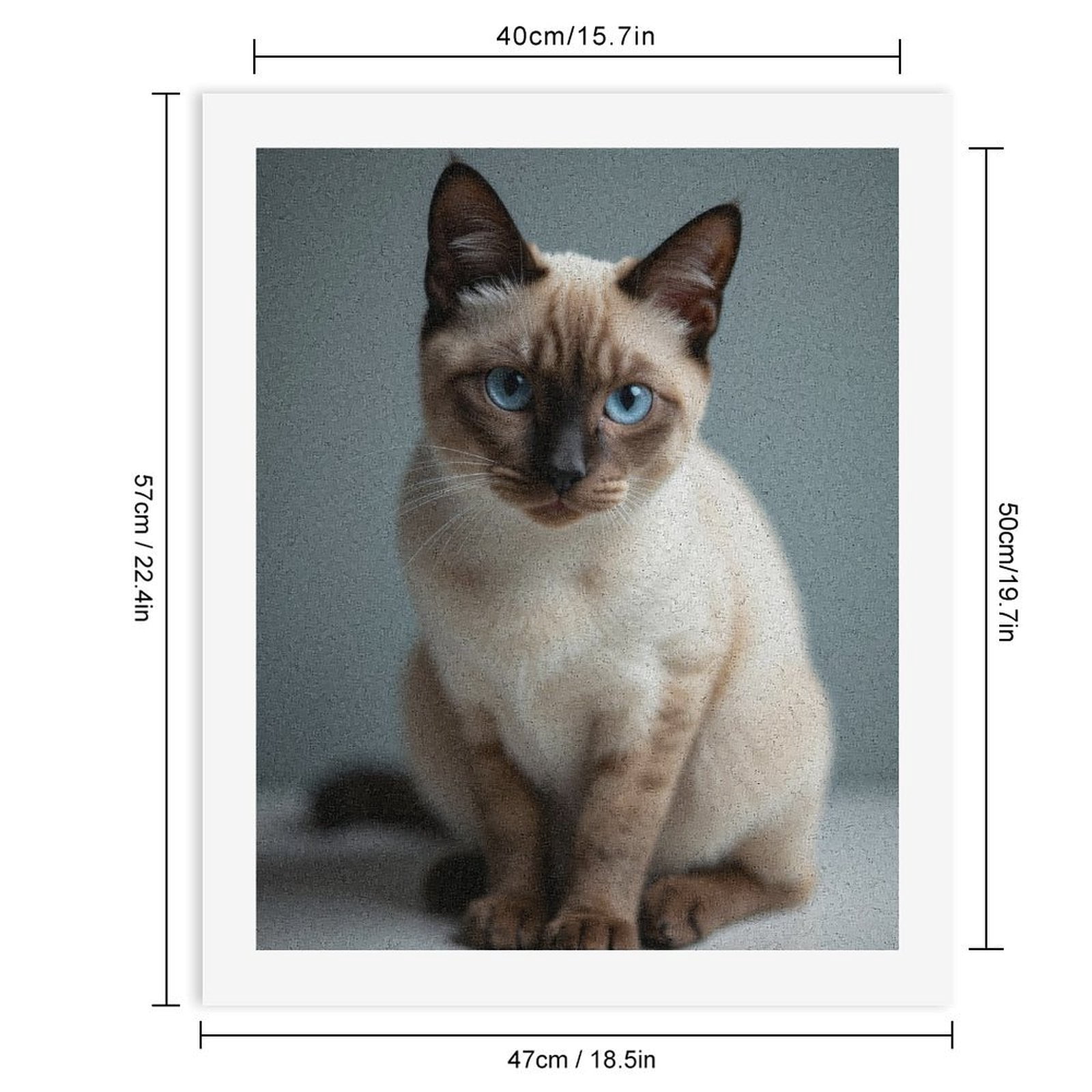 Paint by Numbers Kit for Adults, Blue Eyed Siamese Cat Sitting Paint by Numbers, Easy Paint by Numbers Kit for Adults Beginner, DIY Adult Paint by Number Kits on Canvas, Home Decor