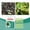 Multicolor, variant on Premium Plant Growth Fertilizer Sticks – Slow-Release Nutrient Spikes for Robust Growth & Stress Resistance, Balanced Formula for Veggies, Herbs & Flowers, Ideal for Home Gardens
