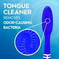 thumbnail image 4 of Oral-B Toothbrush Dual Clean, Medium, 6 Count, 4 of 12