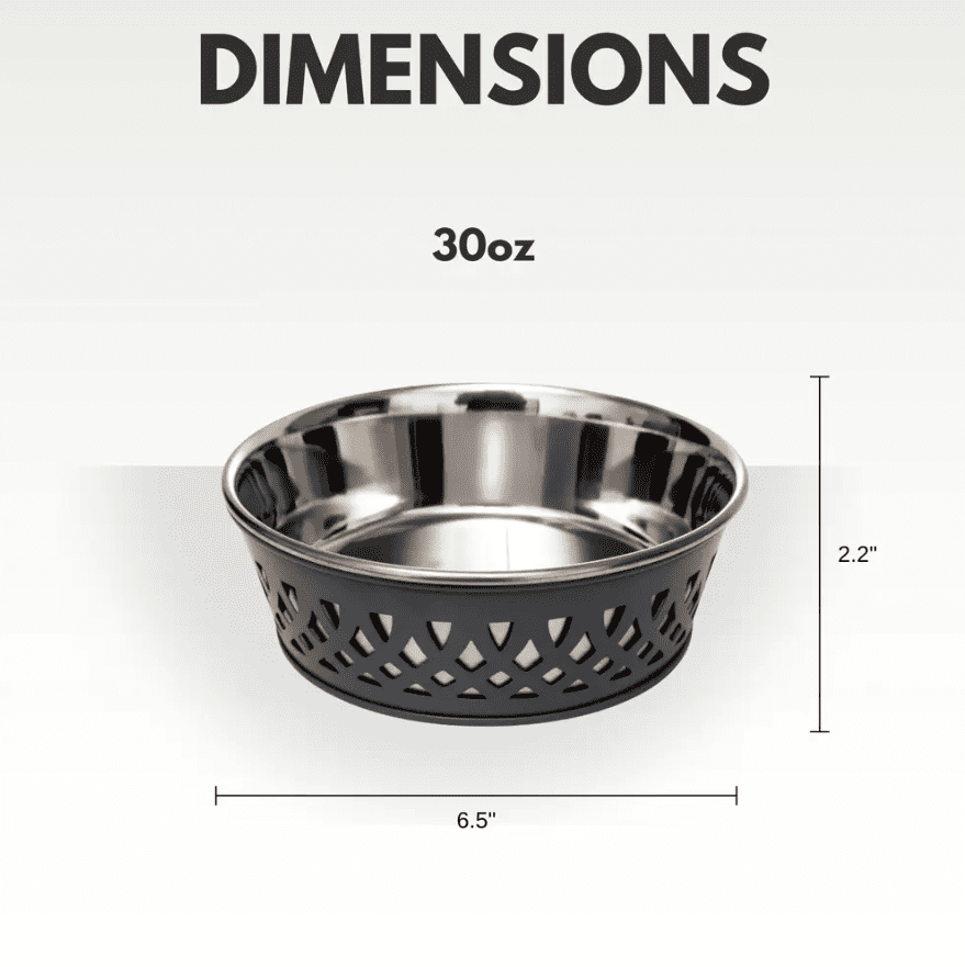 Country Living Set of 2 Stainless Steel Dog Bowls – Farmhouse Style – Gray/30oz