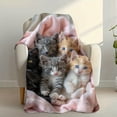 thumbnail image 4 of 1pc Soft Plush Flannel Cat Print Blanket - Cozy Fantasy Theme with 6 Adorable Kittens, Mixed Colors, All-Season Indoor/Outdoor Use for Home, Camping & Travel, Whimsical Kitten Design, 4 of 5