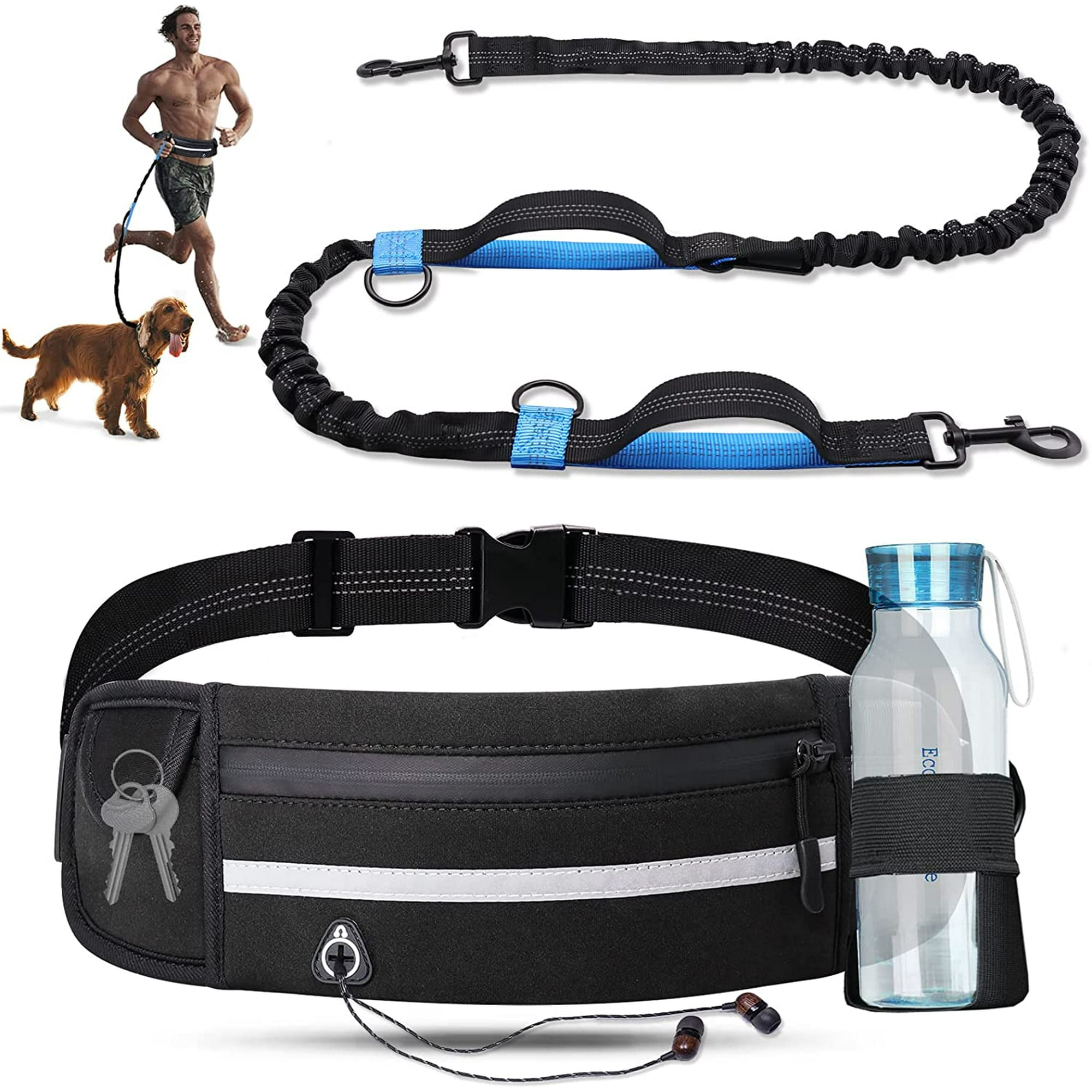 What Happens When A Dog Absorbs Her Puppies