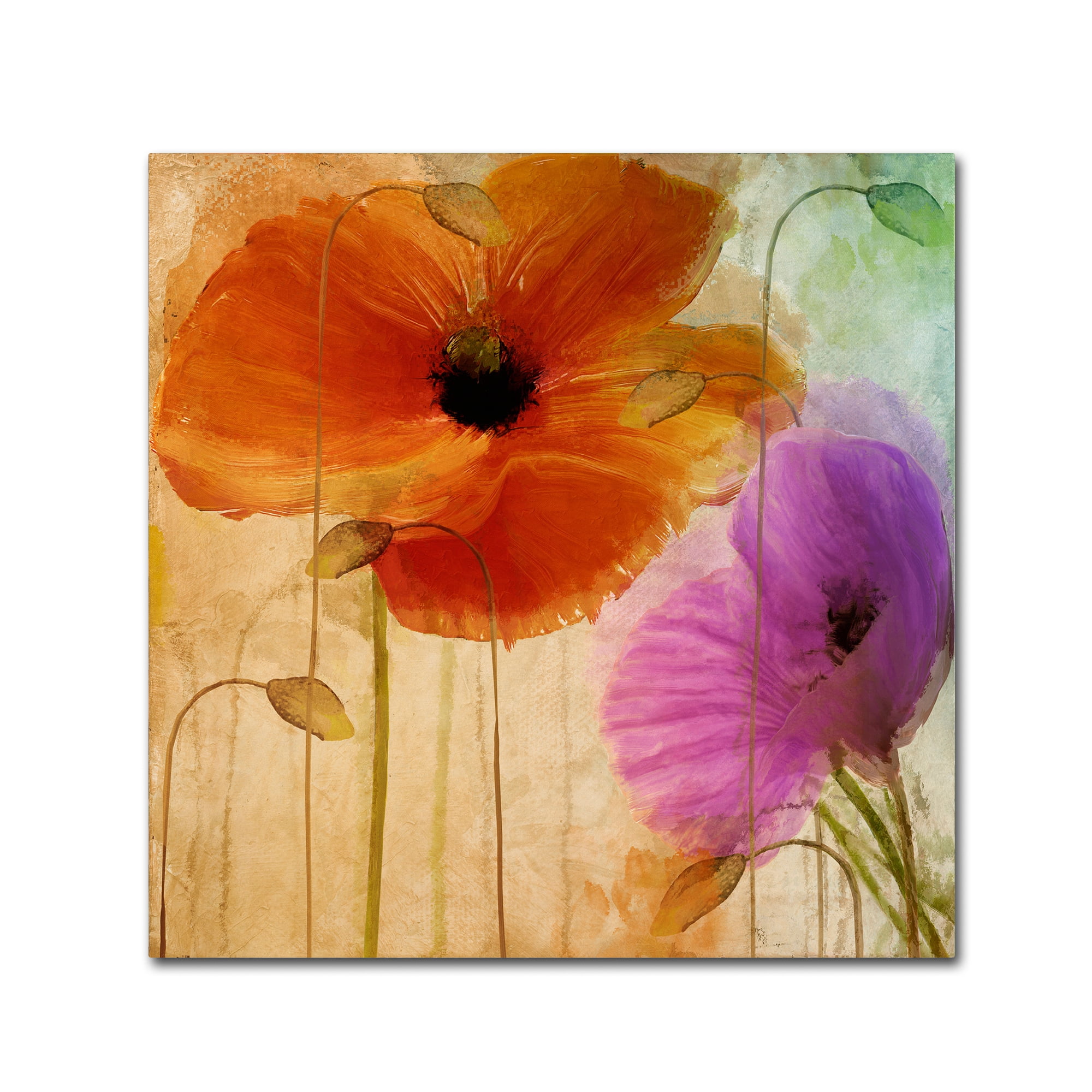 Trademark Fine Art "Penchant For Poppies II" Canvas Art by Color Bakery