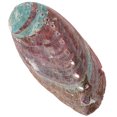 thumbnail image 2 of MOVTOTOP Abalone Shell Aromatherapy Burning Container for Home Use Multi-Color Natural Shell Craft décor 7.5, 2 of 7