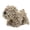Brown, variant on Cute Dog Chenille Hand Towel, 3D Puppy Hangable Fuzzy Ball Hand Towel Microfiber Super Soft Absorbent Bathroom & Kitchen Towels with Hanging Loop, Can Be Placed on the Sink Countertop