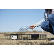 Rugged Ranch Squirrelinator مع مصيدة سنجاب خارجية متعددة الصيد Drop Basin