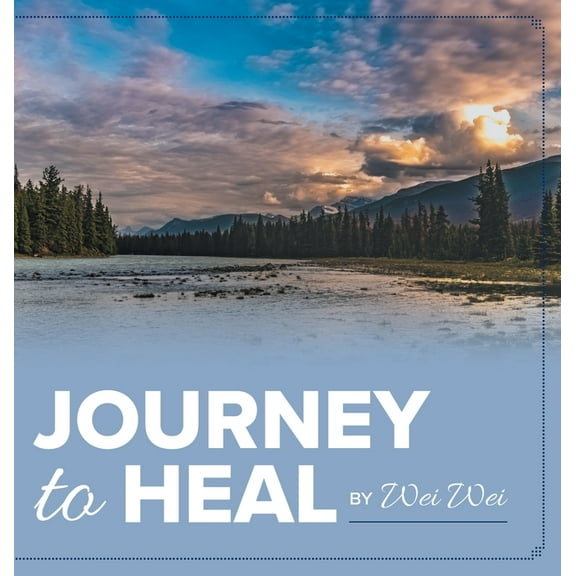 Journey to Heal (Hardcover)