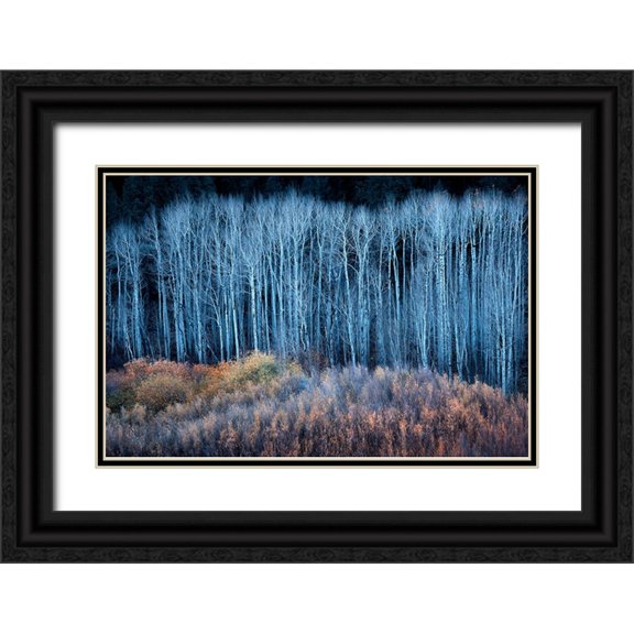 Xu, Mei 24x17 Black Ornate Wood Framed with Double Matting Museum Art Print Titled - End of Autumn