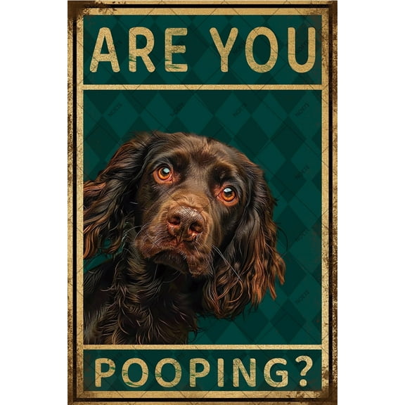 Noete Metal Sign Dog "Are You Pooping?" Funny Vintage Tin Sign 8x12 Inch, Retro Aluminum Wall Decor for Home, Kitchen, Bathroom, Garden & Bar