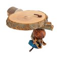 thumbnail image 1 of Bird Cage Perch Platform, Wooden Bird Stand Platform Edible Coloring Safe  For Birds, 1 of 7