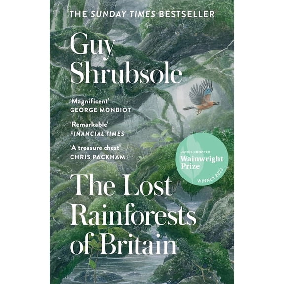 The Lost Rainforests of Britain, (Paperback)