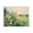 Vintage Wildflowers Meadow, variant on Stupell Industries Cottage Vintage Wildflowers in Field Black Floating Frame Canvas Art, 21 x 17, by Petals Prints Design