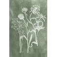 thumbnail image 2 of Vision Studio 13x18 White Modern Wood Framed Museum Art Print Titled - Sage Impressions II, 2 of 4