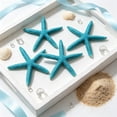 thumbnail image 5 of 10 Piece Mini Resin Starfish Set, DIY Starfish Decor for Beach Crafts Aquarium Layout Indoor Outdoor, Gift& Coastal Decor, 5 of 6