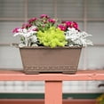 thumbnail image 6 of Arcadia Garden Products 13x9x5.5" PSW Window Box Planter, Taupe, 6 of 6