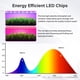 thumbnail image 5 of Tiras de luz LED de cultivo iPower de espectro completo para plantas, paquete de 1, 5 of 6