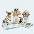 thumbnail image 2 of Opolski Dual Bowl Design Stainless Steel Dog Cat Puppy Feed Food Water Dish Pet Supplies, 2 of 8