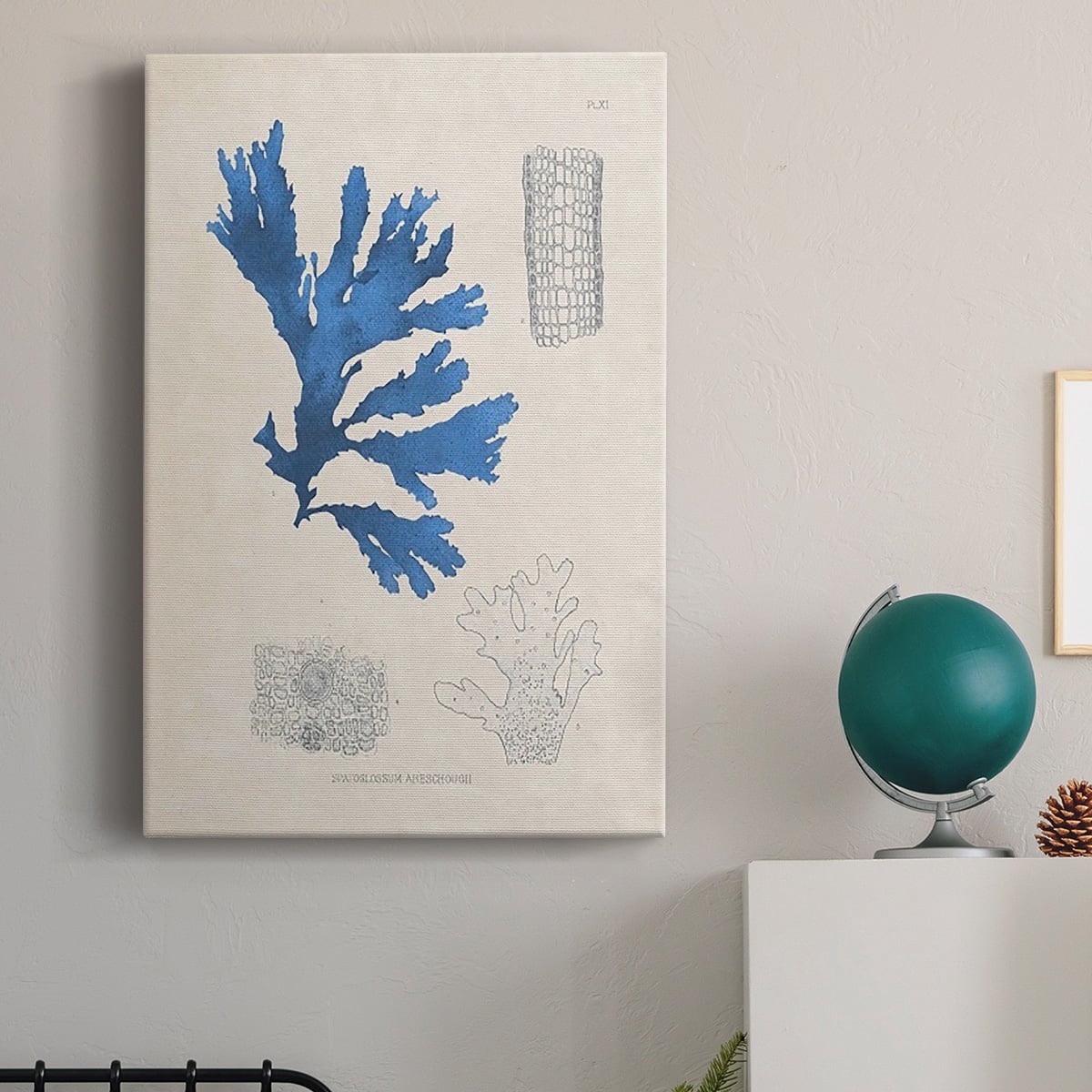 Blue Marine Algae VIII Premium Gallery Wrapped Canvas - Ready to Hang