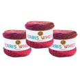 thumbnail image 1 of Lion Brand Yarn Ferris Wheel Roving Medium Multi-Colored Yarn 3 Pack, 1 of 8