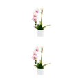 thumbnail image 2 of Advancent Sin flores de imitación marchitas para una belleza duradera en cualquier entorno Bonsái artificial sin riego Type3 NO3, 2 of 6
