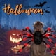 thumbnail image 4 of Disfraz de mascota araña Halloween mascota Cosplay perro gato disfraces ropa para perros medianos pequeños gatos traje accesorios de vestir Adepaton 2034971-6, 4 of 9