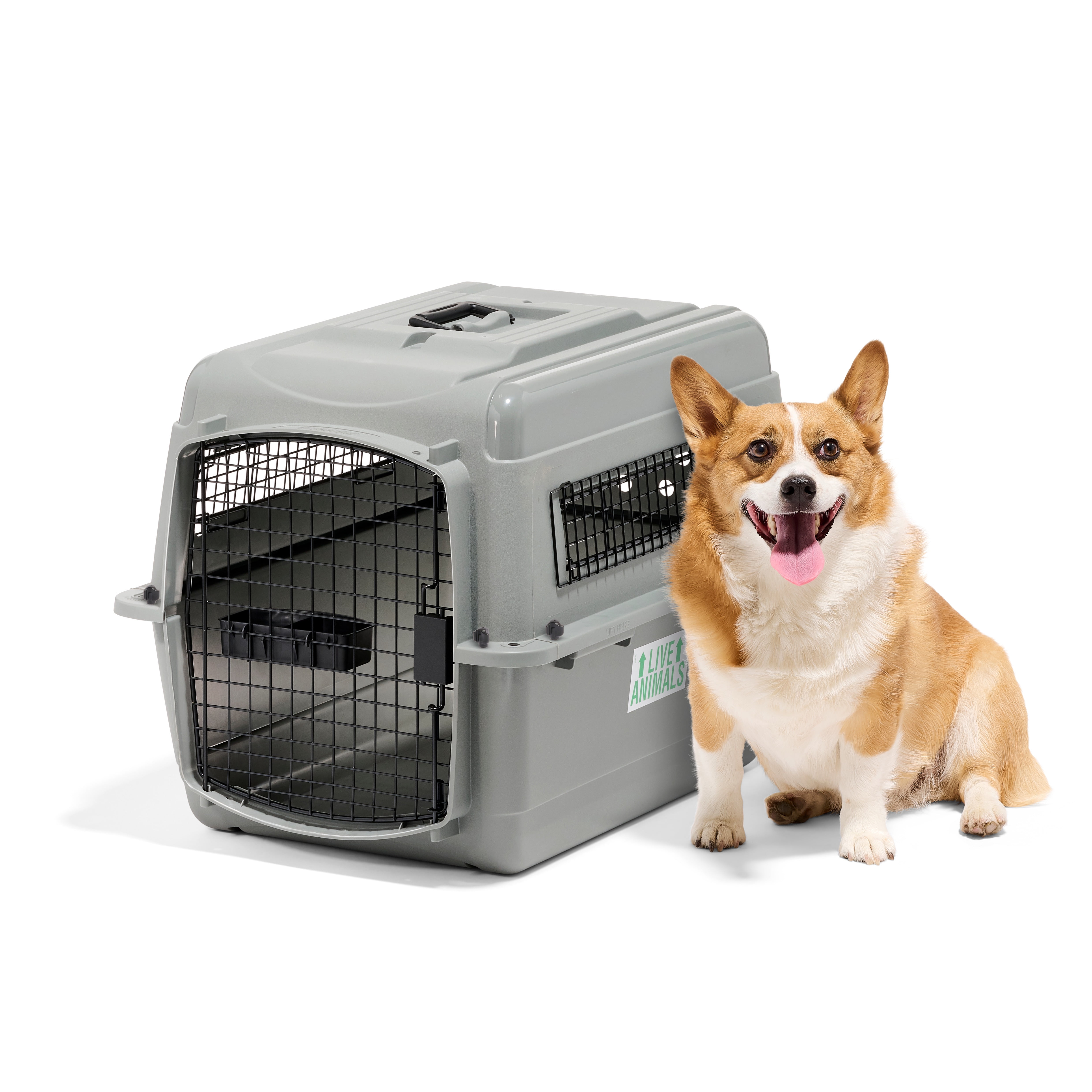 Petmate Sky Kennel for Dogs & Cats, IATA Approved, Plastic Travel