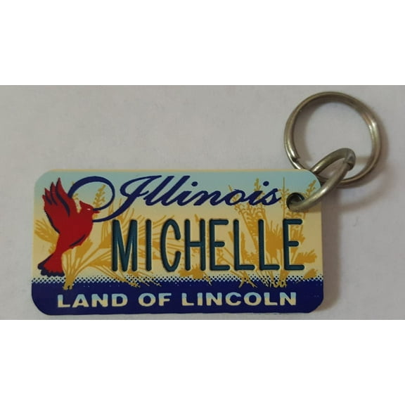 Illinois Land of Lincoln Michelle Keychain Key Holder Key Ring New